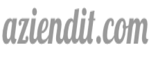 aziendit