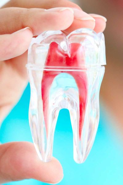 Edondozia-studio-torchia-palermo